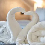 Wipfeltraum *