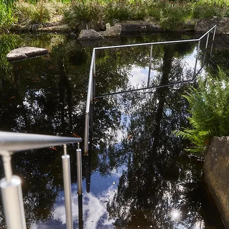 Wipfeltraum * בראונלאגה