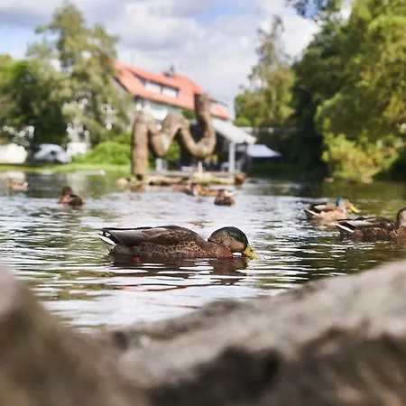 דירה Wipfeltraum בראונלאגה