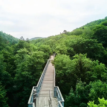 Wipfeltraum דירה