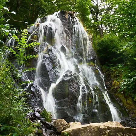 דירה Wipfeltraum בראונלאגה
