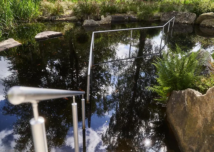 Wipfeltraum * Braunlage