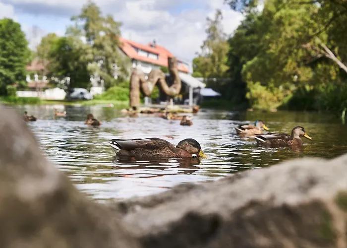 Daire Wipfeltraum Braunlage