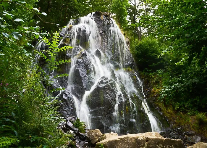 Daire Wipfeltraum Braunlage